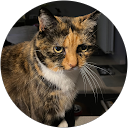 Els Tobac profielfoto