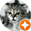 Mario PL profielfoto